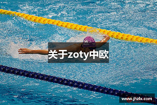 关于zoty中欧